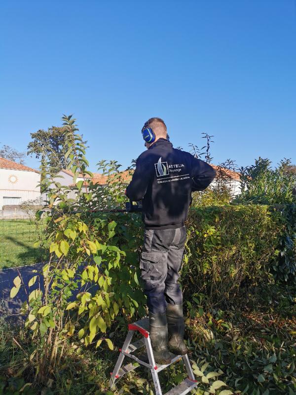 taille de vos arbres fruitiers