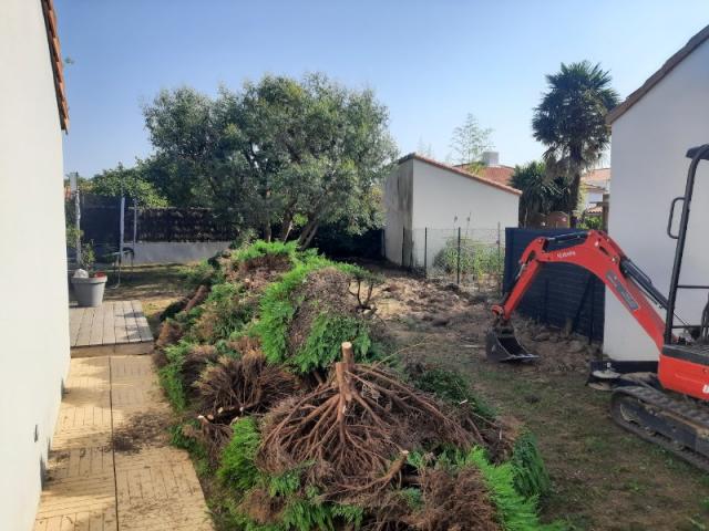 Installation d'une clôture après arrachage d'une haie, et réfection du gazon