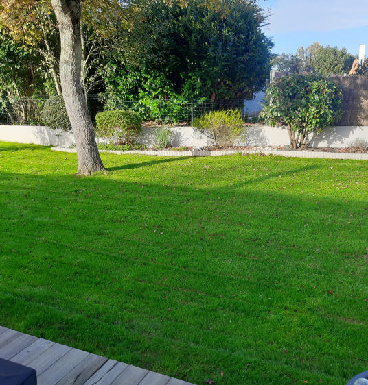 jardin simple